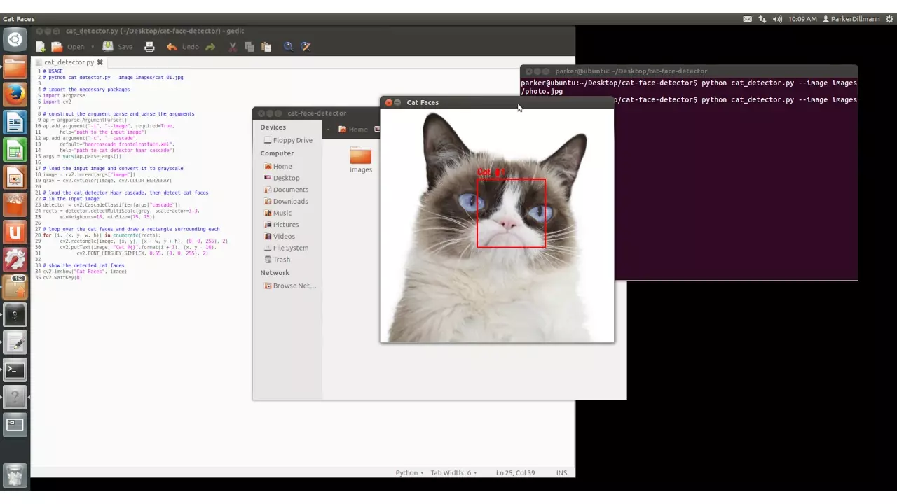 Figure 1: OpenCV working with PyCharm. Detecting cat faces! Figure 1: OpenCV working with PyCharm. Detecting cat faces!